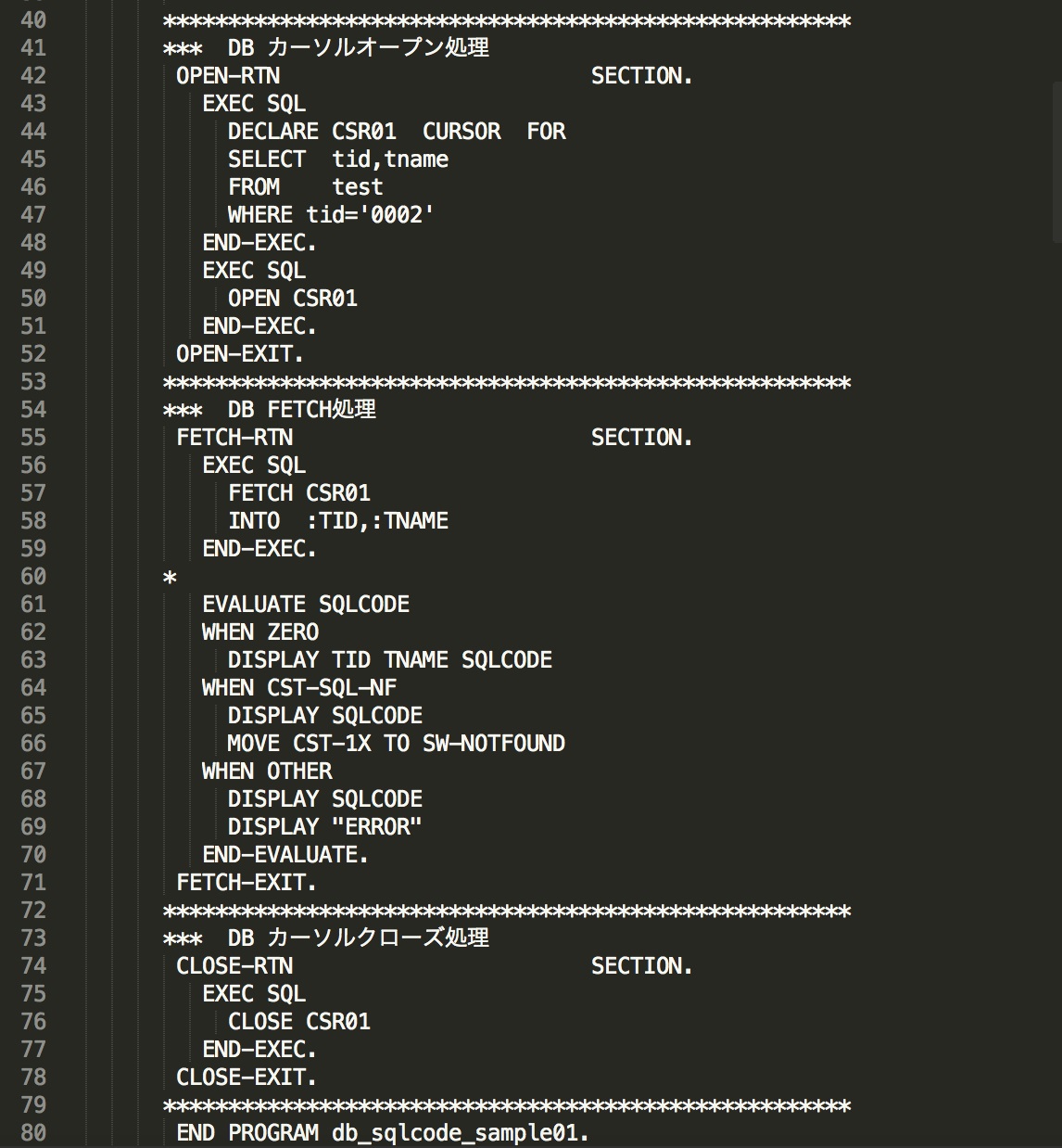 応用-SQLCODE-使用例