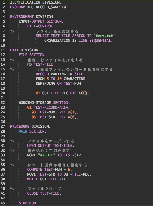 辞典・辞書-RECORD-書き方